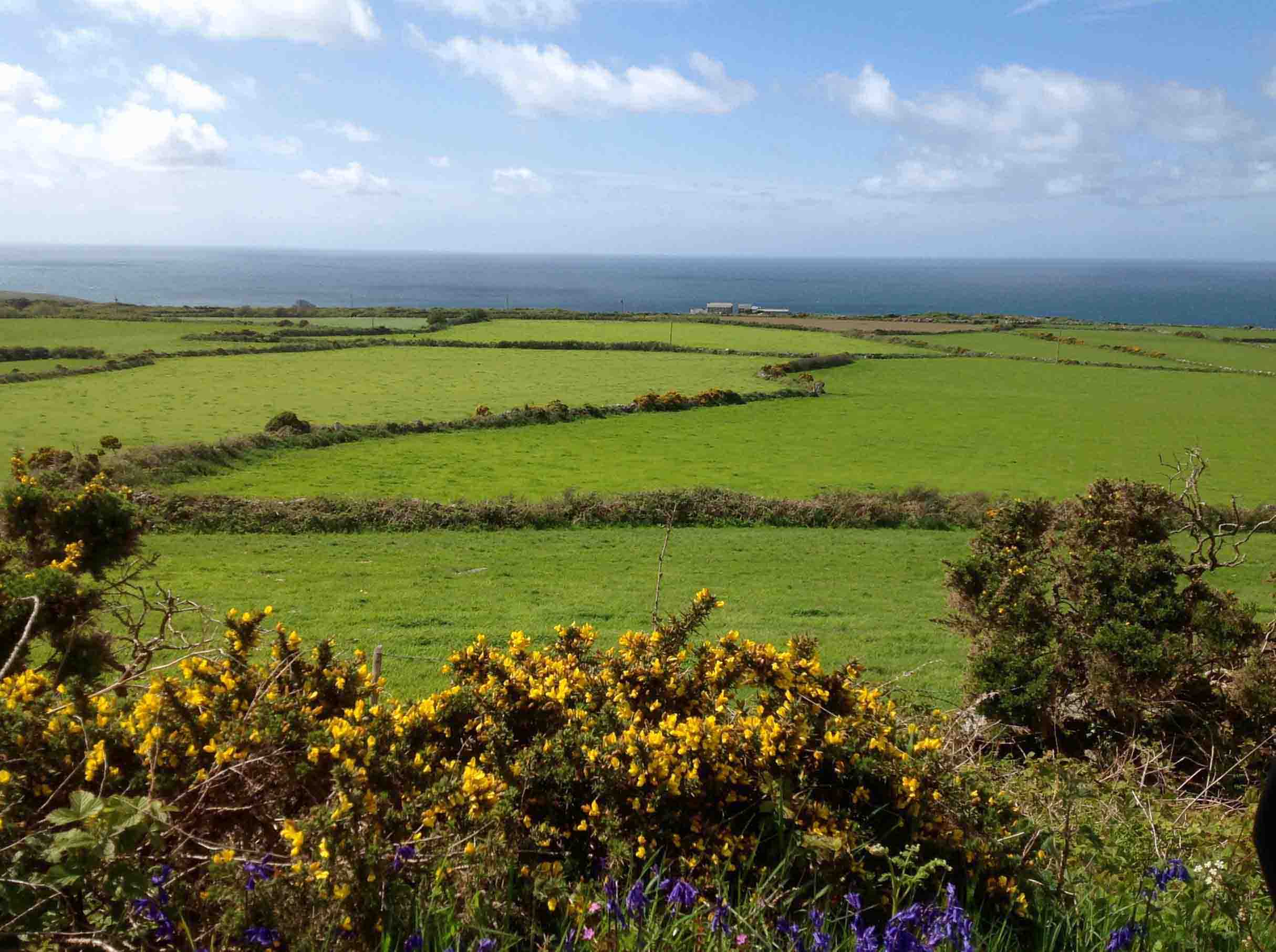 Coastal Fields